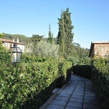 Appartement Monolocale Con Piscina S.Martino à Riparbella Extérieur photo